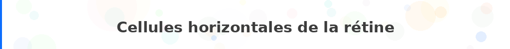 Titre : Cellules horizontales de la rétine