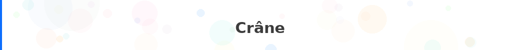 Titre : Crâne