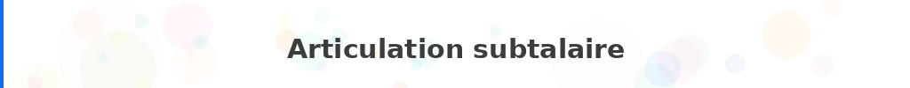Titre : Articulation subtalaire
