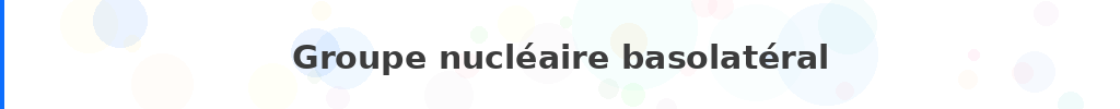 Titre : Groupe nucléaire basolatéral