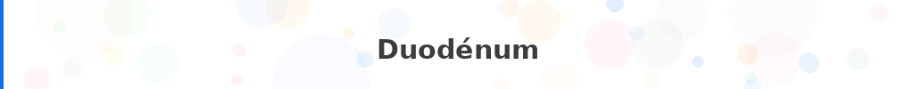 Titre : Duodénum