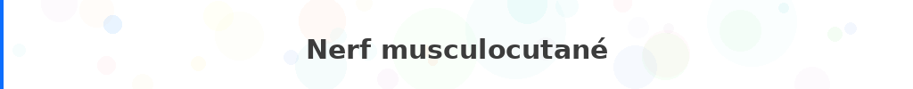 Titre : Nerf musculocutané