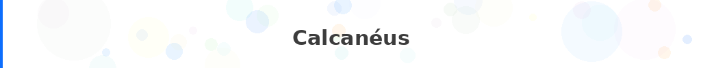 Titre : Calcanéus