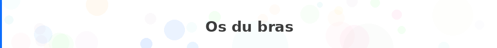 Titre : Os du bras