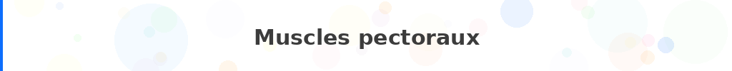Titre : Muscles pectoraux