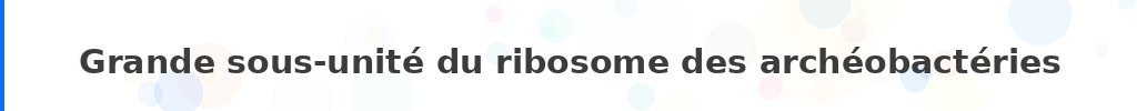 Titre : Grande sous-unité du ribosome des archéobactéries